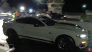 Ford Mustang Mach 1 vs Hellcat, F-150, BMW, Audi on The Drag Race