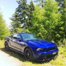 Ford Mustang “Marlboro 5.0”