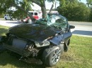 Ford Mustang Tree Crash
