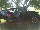 Ford Mustang Tree Crash