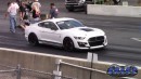 Ford Mustang Shelby GT500 vs Charger & Challenger Hellcat on DRACS