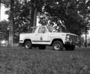 Custom 1980 Ford Bronco