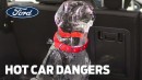 The Dangers of Hot Days for Children and Pets in Cars