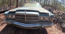 1976 Chrysler Town & Country