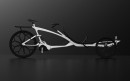 Foxbone Hybrid Tandem Bicycle