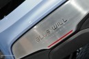 Hyundai BLUE-WILL