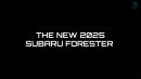 Subaru Legacy & Forester renderings