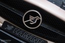 Hamann Hawk