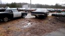 Mopar muscle car hoard in Georgia