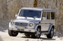 The Mercedes-Benz G 55 AMG is one of the weapons of choice for the Malibu surgeon or the next-door gang member. Doesn't help you rescue any dolphins either.