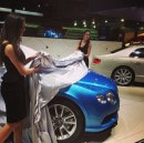 Girls of the Qatar Motor Show 2014