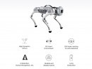 The Go1 Is a Consumer-Level Robot Dog