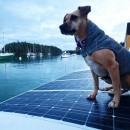 Old Dog - Simon's DIY Solar-Powered Off-Grid Sailboat