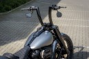 Harley-Davidson Platinum Force