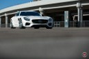 Hamana Japan Mercedes-AMG GT S on VPS-314T