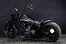 Harley-Davidson Backus New Version