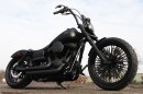 Harley-Davidson Big Spoke