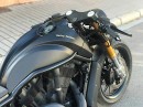 Harley-Davidson Black Lion