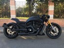 Harley-Davidson Black Lion