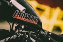 Harley-Davidson Black Power