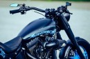 Harley-Davidson Blue Vegas