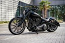 Harley-Davidson Dark Horse