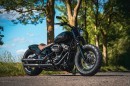 Harley-Davidson Country Cruiser