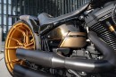Harley-Davidson Dark Force is worth $41,000 in custom parts alone
