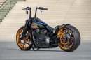 Harley-Davidson Dark Force is worth $41,000 in custom parts alone