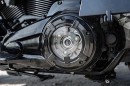 Harley-Davidson Deltoid