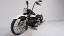 Harley-Davidson Dirtytail by John Shope