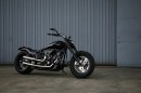Harley-Davidson Dragon Hide