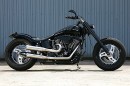 Harley-Davidson Dragon Hide