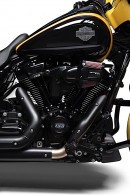 Harley-Davidson Screamin' Eagle 135 Stage IV