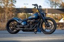 Harley-Davidson Fat Back