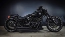 Harley-Davidson "FireSweep"
