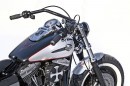 Harley-Davidson Fredbob