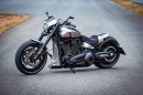 Harley-Davidson FXDR Silver Rocket