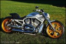 Harley-Davidson "Goldeneye"