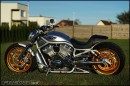 Harley-Davidson "Goldeneye"