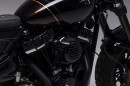Harley-Davidson Gravel Gorilla