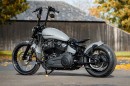 Harley-Davidson Grey Hawk