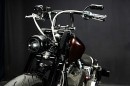 Harley-Davidson Hermosa x dios