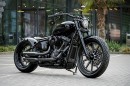 Harley-Davidson Hollywood Joe