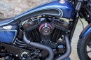 Harley-Davidson Iron Hunter