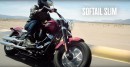 2018 Harley-Davidson Softail lineup