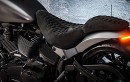Harley-Davidson “Metal Flake”