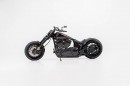 Harley-Davidson Radical Elegance