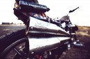 Harley-Davidson Roach Sportster