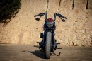 Harley-Davidson Road Digger